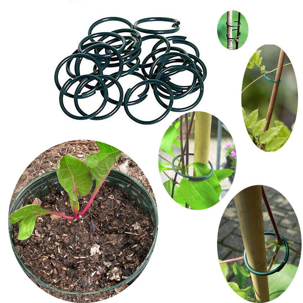 100 Plant Rings Plastic Coated Reusable Twisty Plant Support Clips Indoor Outdor - Best Deals 786 UK